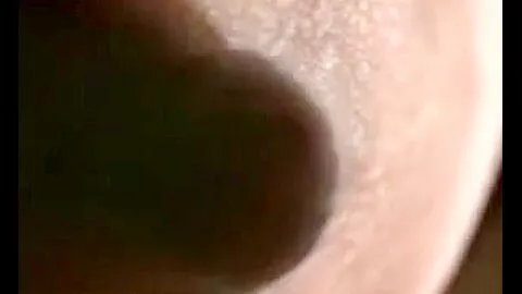 Nice slit crammed in hardcore girlfriend Hindi movie