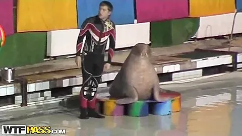 Cute and young brunette babe Natasha is getting seduced by her workmate at dolphinarium for naughty fuck.