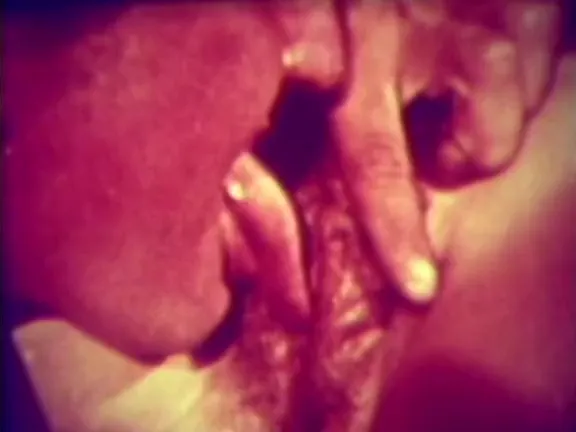 Retro Porn Archive Video: Tantalizing Tits