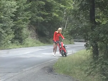 Blond fuck in the woods near the road