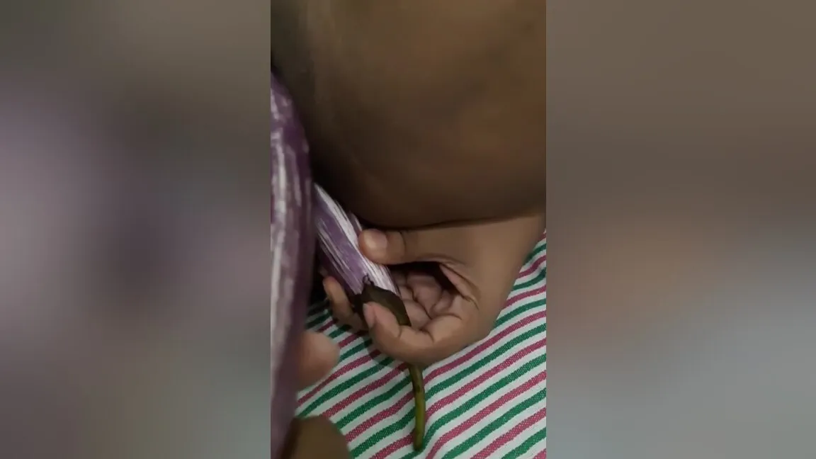 එකපර දකක දගනන ආස හතණ . වමබට ආතල එක