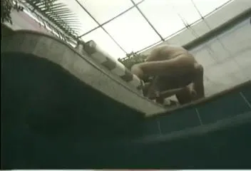 two Honeys in anal fuck in the pool