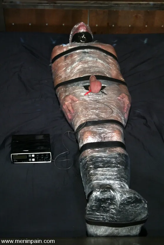 Wild Bill and Harmony - MenInPain