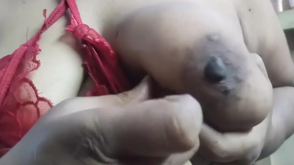 Beutiful Aunty Fucking Her Stepson