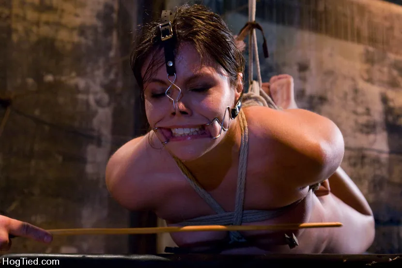 Thea Marie in The Smile Has Been Wiped Off Thea's Face - HogTied