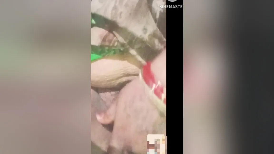 Desi Wife Masturbation On Video Call