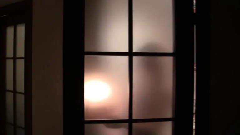 Hardcore group orgy at b-day party