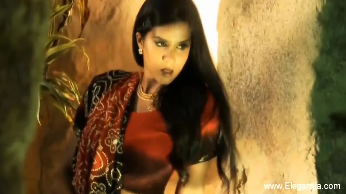 Elegance And Light In Sensual India