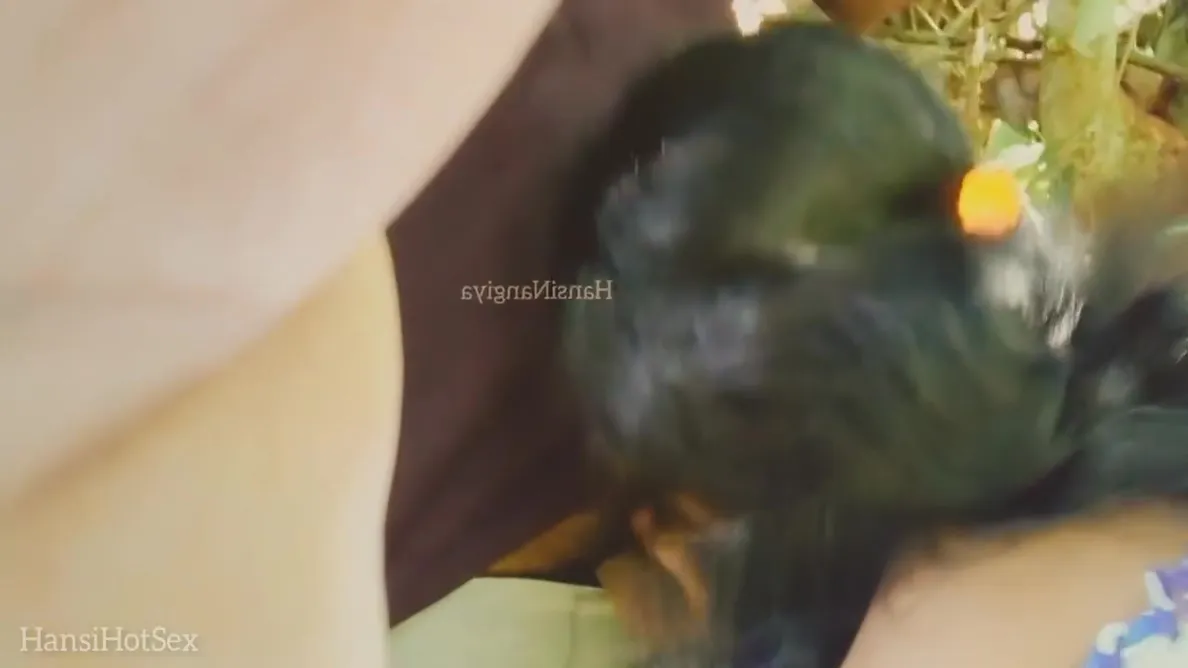 Sri Lankan Teen 18+ Couple - Risky Public Sex