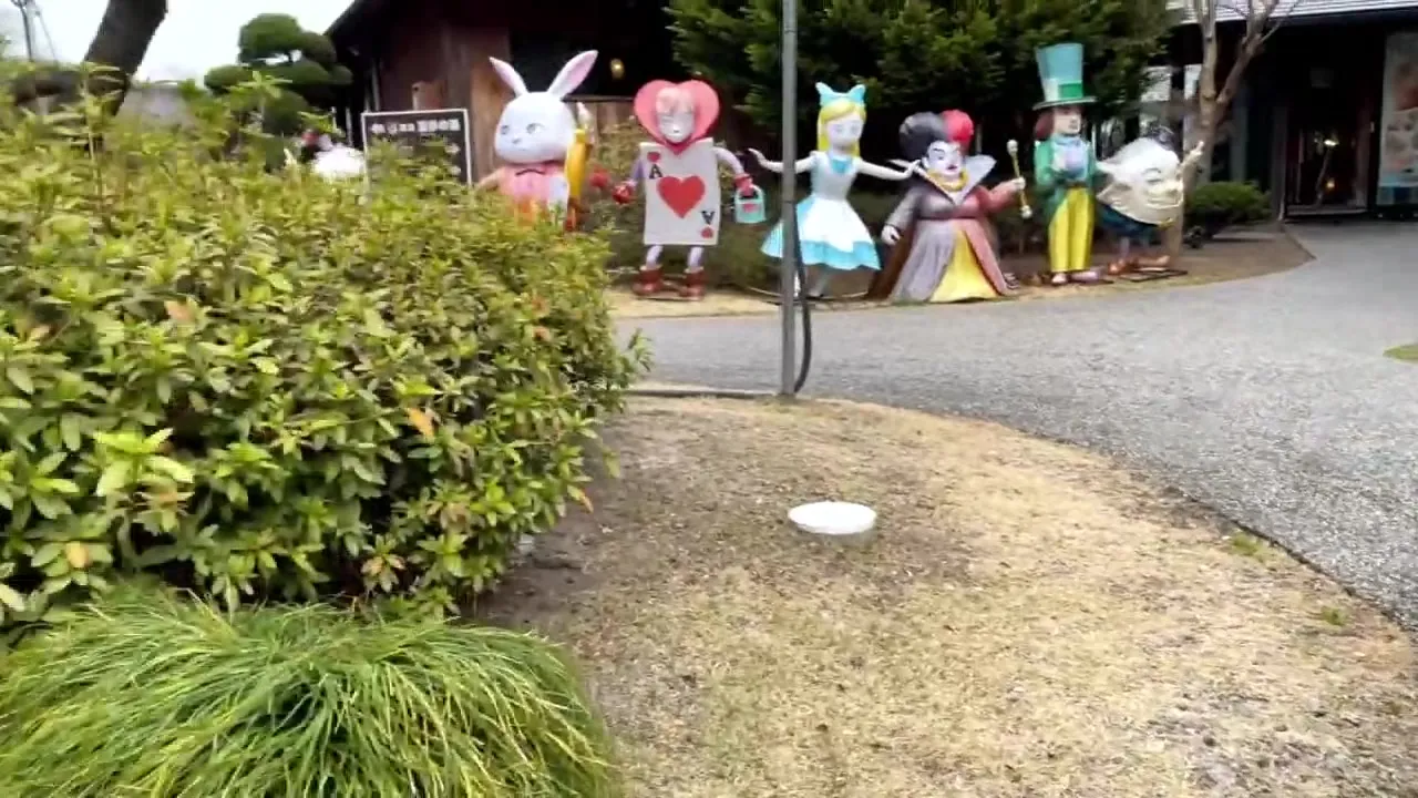 300MAAN-779 Japanese Amateur