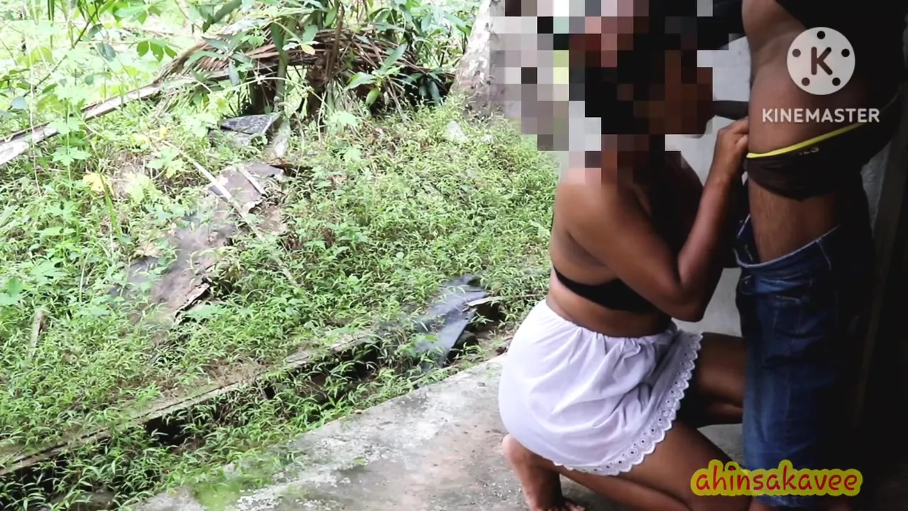 ගදර කවරවත නත වලව පචග දවග පක පලව.step