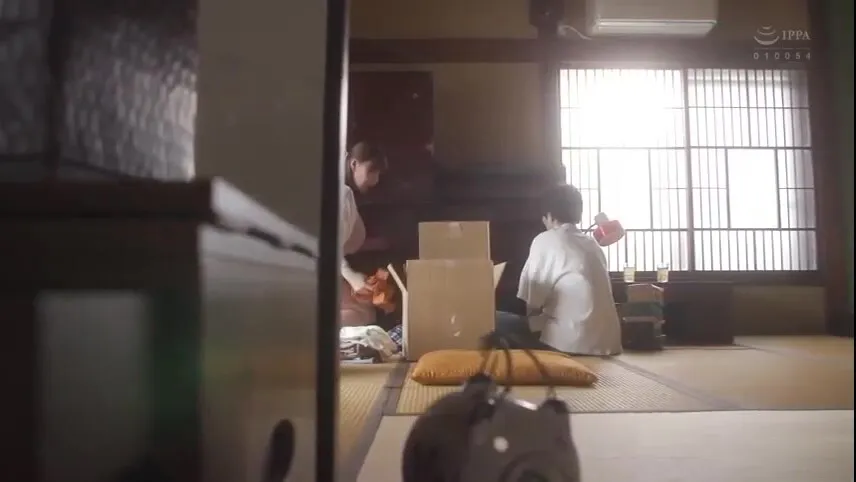 Japanese-pako-140-1355