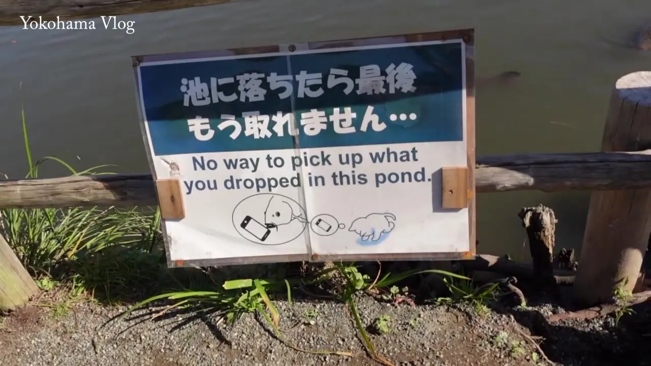 535LOG-007 Japanese Amateur