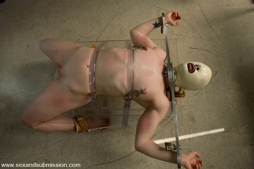 Mark Davis Madison Young in Human Subject Use - SexAndSubmission