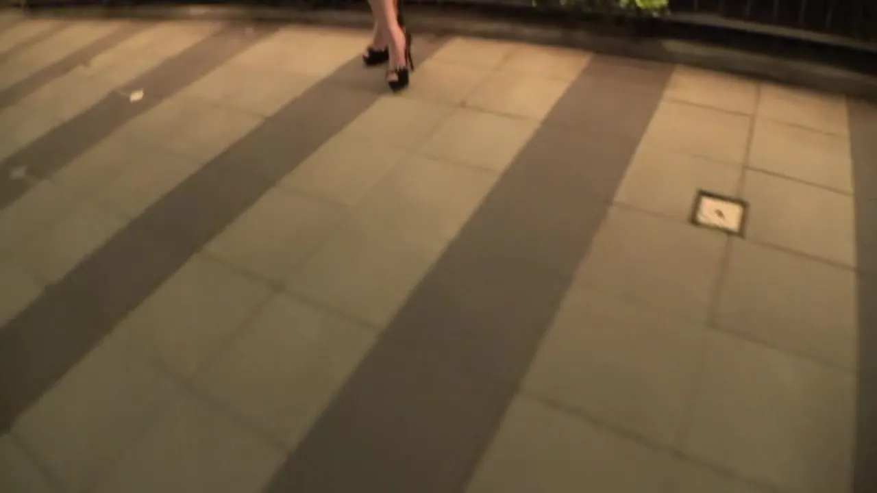 261ARA-560 Japanese Amateur