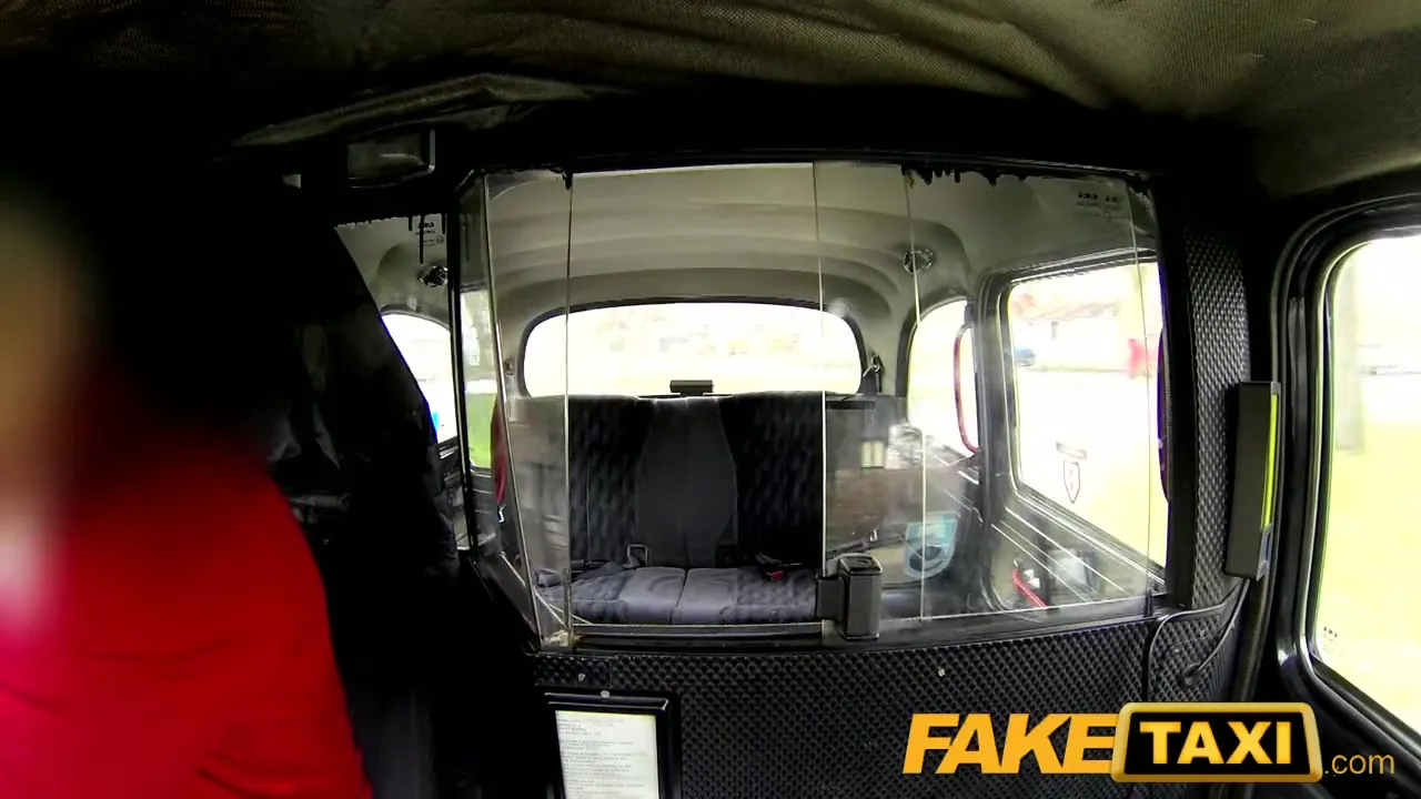 FakeTaxi: Look at the mess u've made Mr Taxi Driver