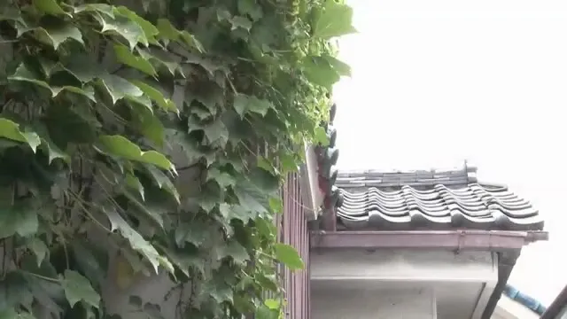 Japanese-sex-pako-1169