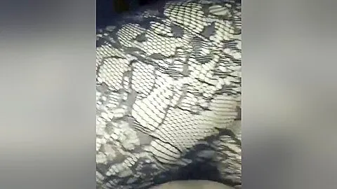 Beurette au cul magnifique