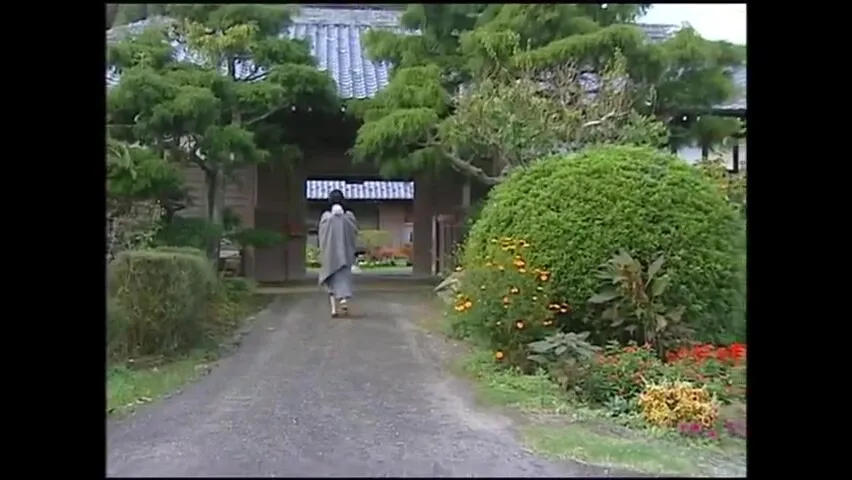 BSZ095-AHJAPIUVOI789955472