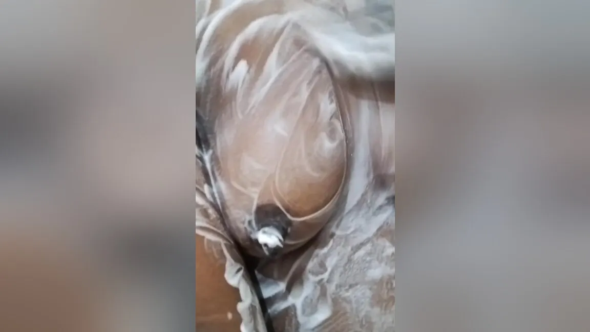 Sexy Desi Bhabhi Viral Video