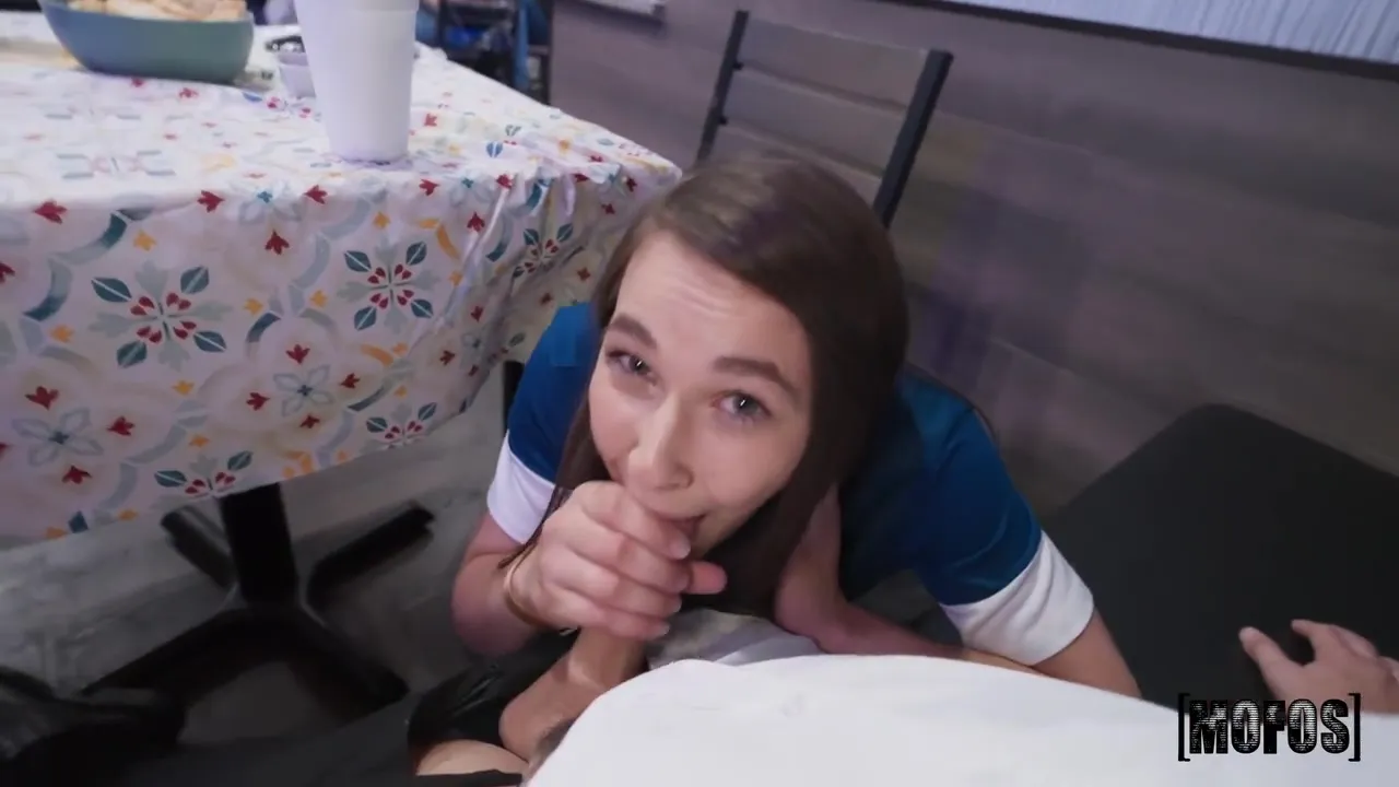 Mex Restaurant - Cici Shellz