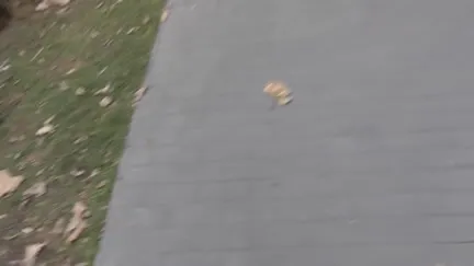 Fancy costume out door sex on Helloween