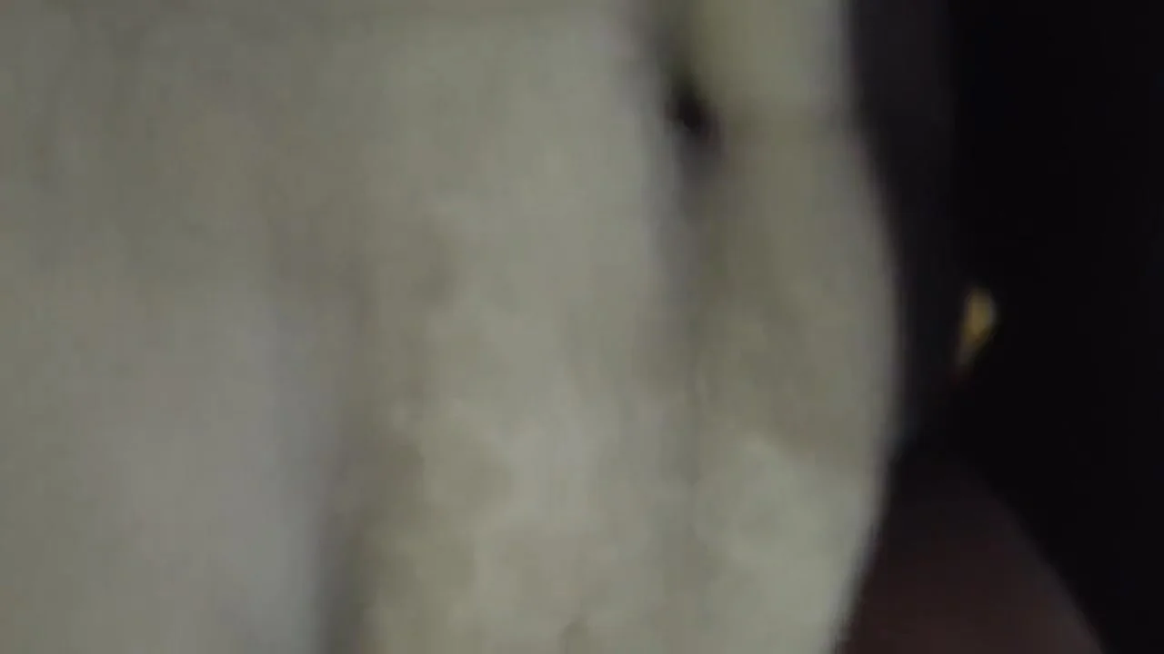 Desi Hard Sexy Bhabhi Sex