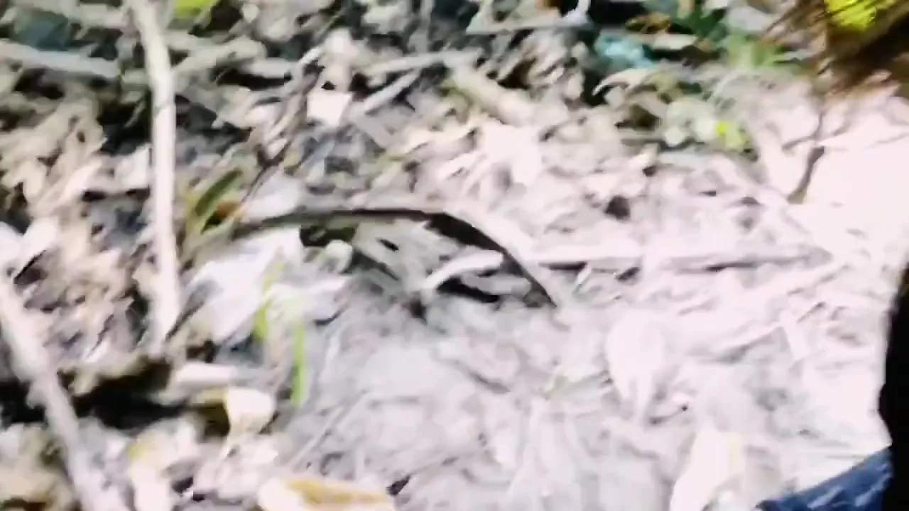 Outdoor Sex In Sashivindya With Desi Indian And Sri Lankan