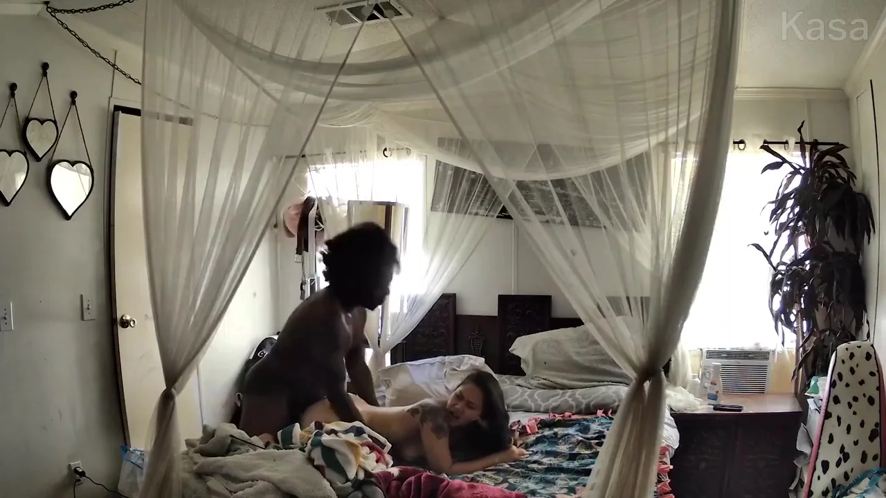 Jayla Inc In Asian & An Afro