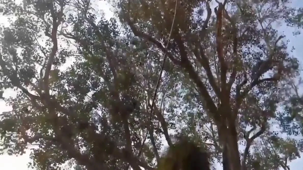 Deshi Village Bhabhi Outdoor Romance With Dever Deshi Sex