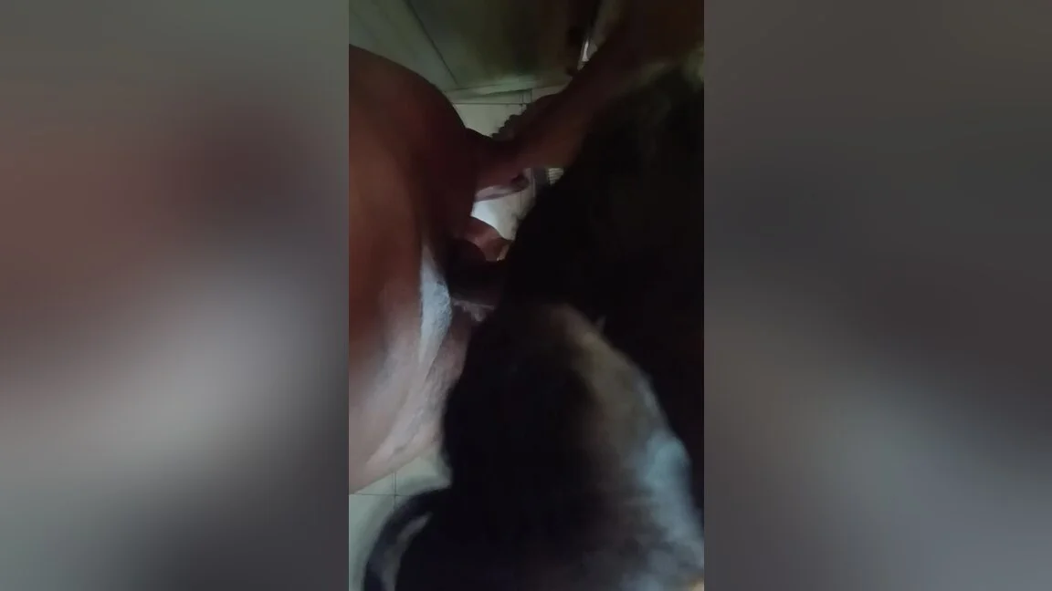 Wife Blow Job At Bathroom