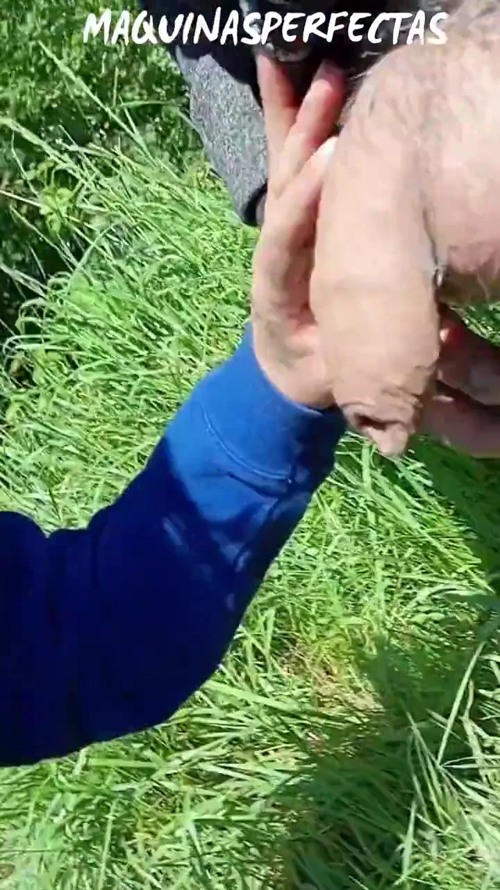 Real Behind The Outdoor Deepthroat Blowjob