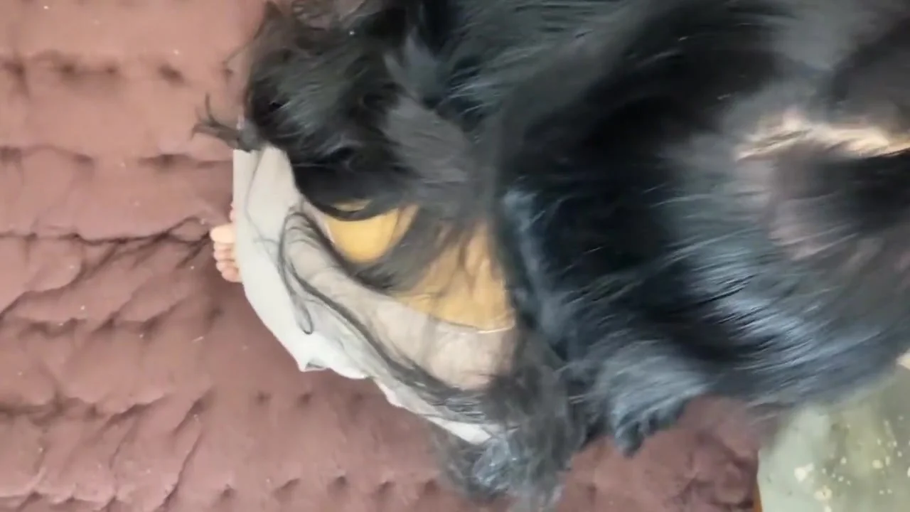 Meri Wife Ko Mere Boss Ne Vigra Kha Kr Jam Ke Ghodi Bna Ke Choda Desifilmy45 Slimgirl New Porn Video