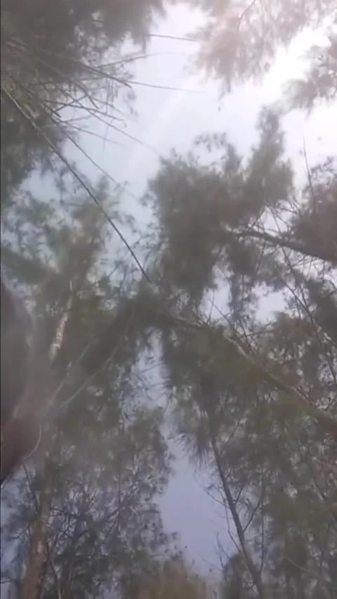 Jungle Me Girlfriend Ke Doogi Style Ke Chhoda