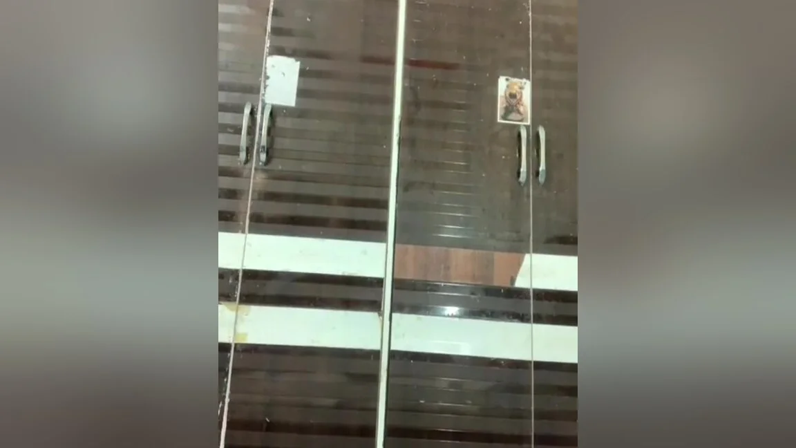 Sexy Desi Girl Hot Cam Show