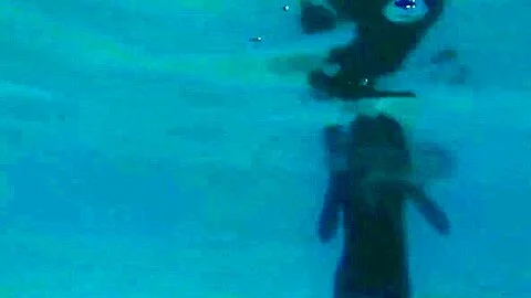 Katya Clover - Beach day