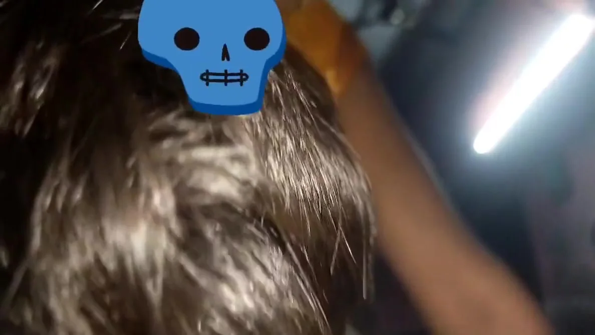 Village Bhabhi - Deshi Ki Hard Sex In Bedroom