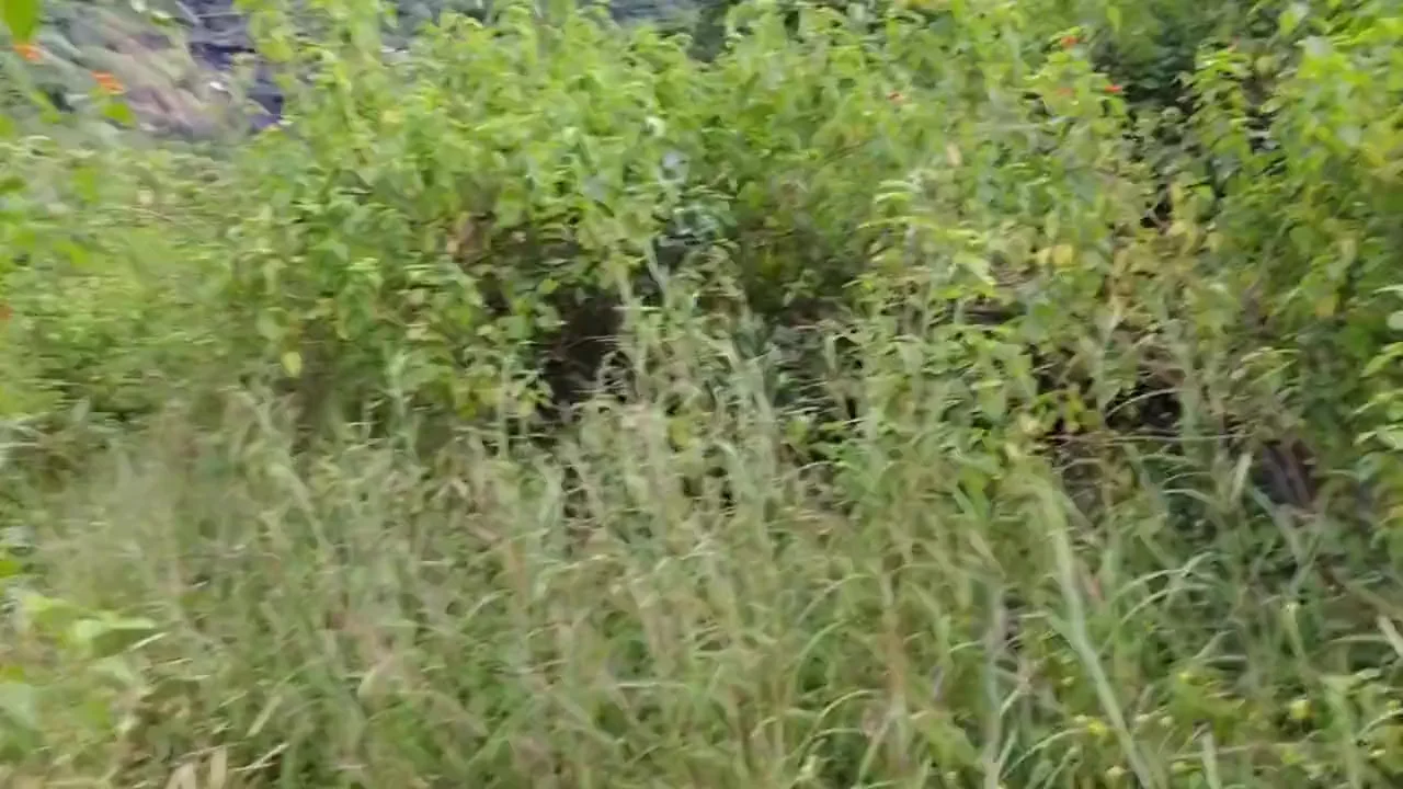 Today Fucking Doggy Style Position Bhabhi Stepsister - Devar Bhabhi And Hindi Sex