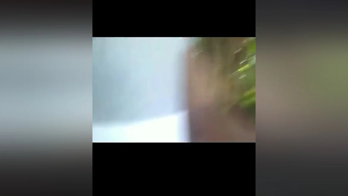 Outdoor Sex With My Stepbrother Wife In Jungle