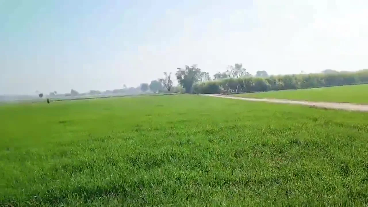 Desi Village Teacher Sex