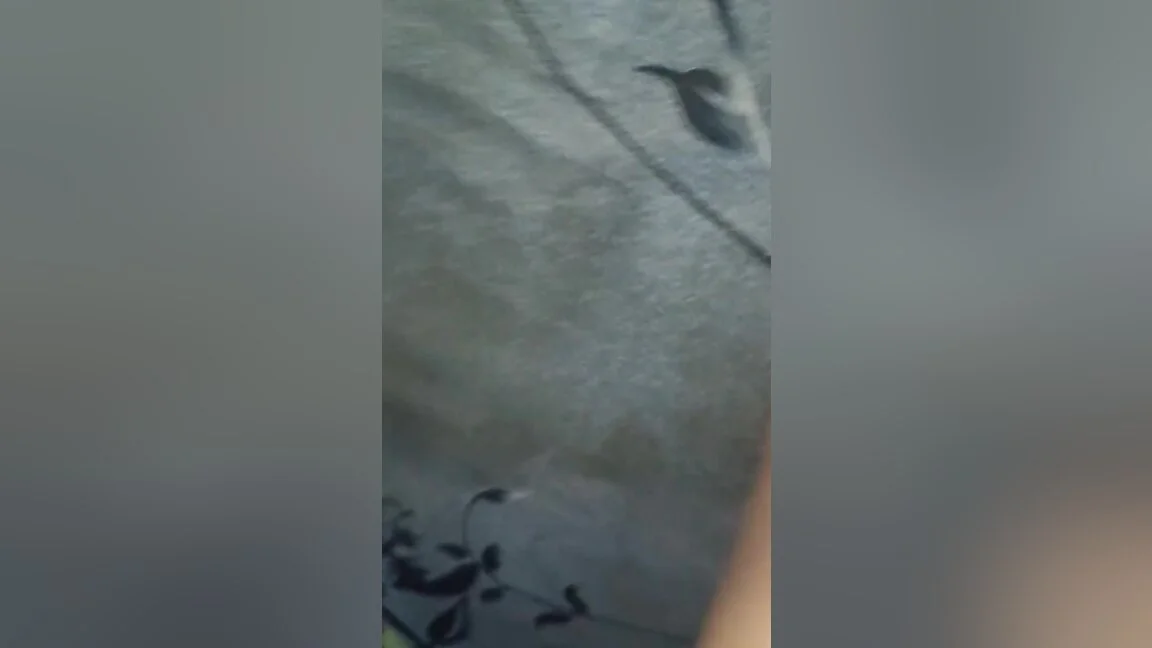 Desi Homemade Chudai Of My Kamsin W