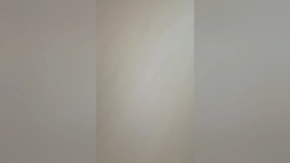 Nisha Bhabhi With Stepbrother