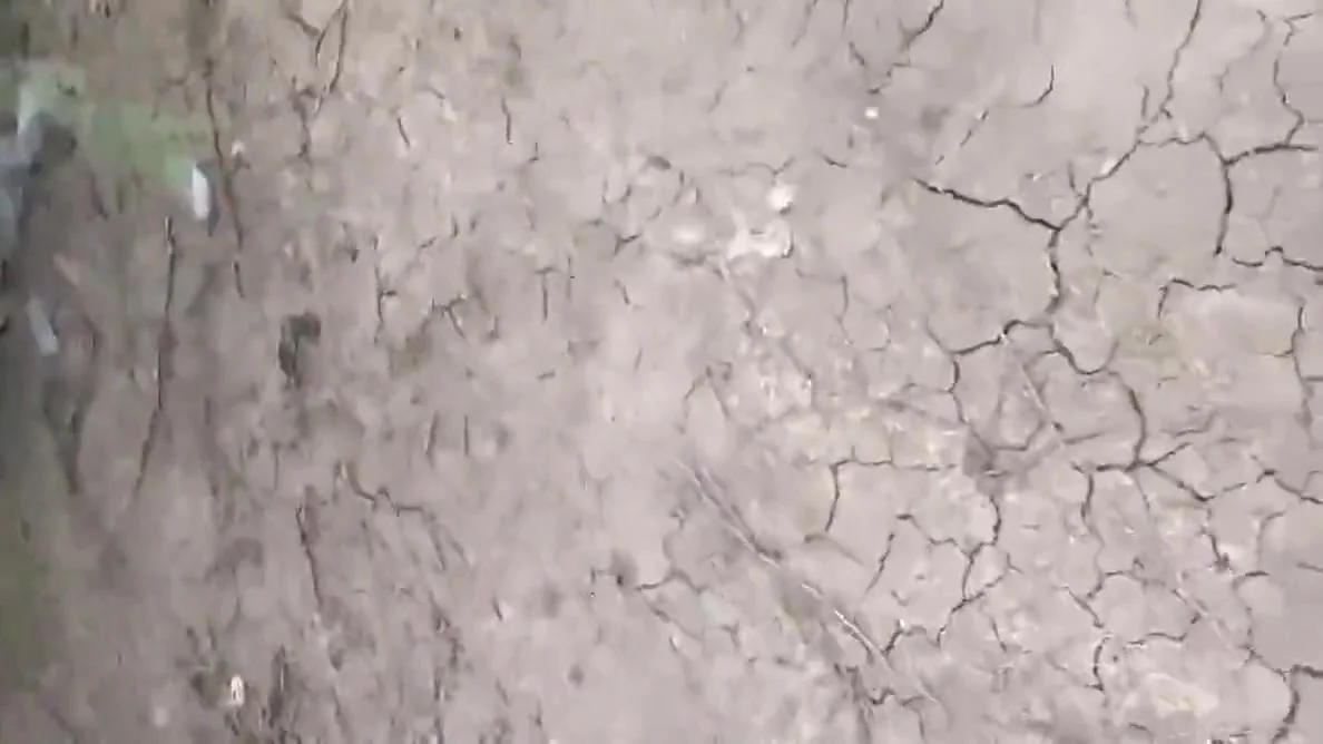 Desi Bhabhi Hot Aunty Outdoor Sex With Devar Bhabhi