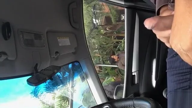 Sitting at the stoplight and playing with genitals