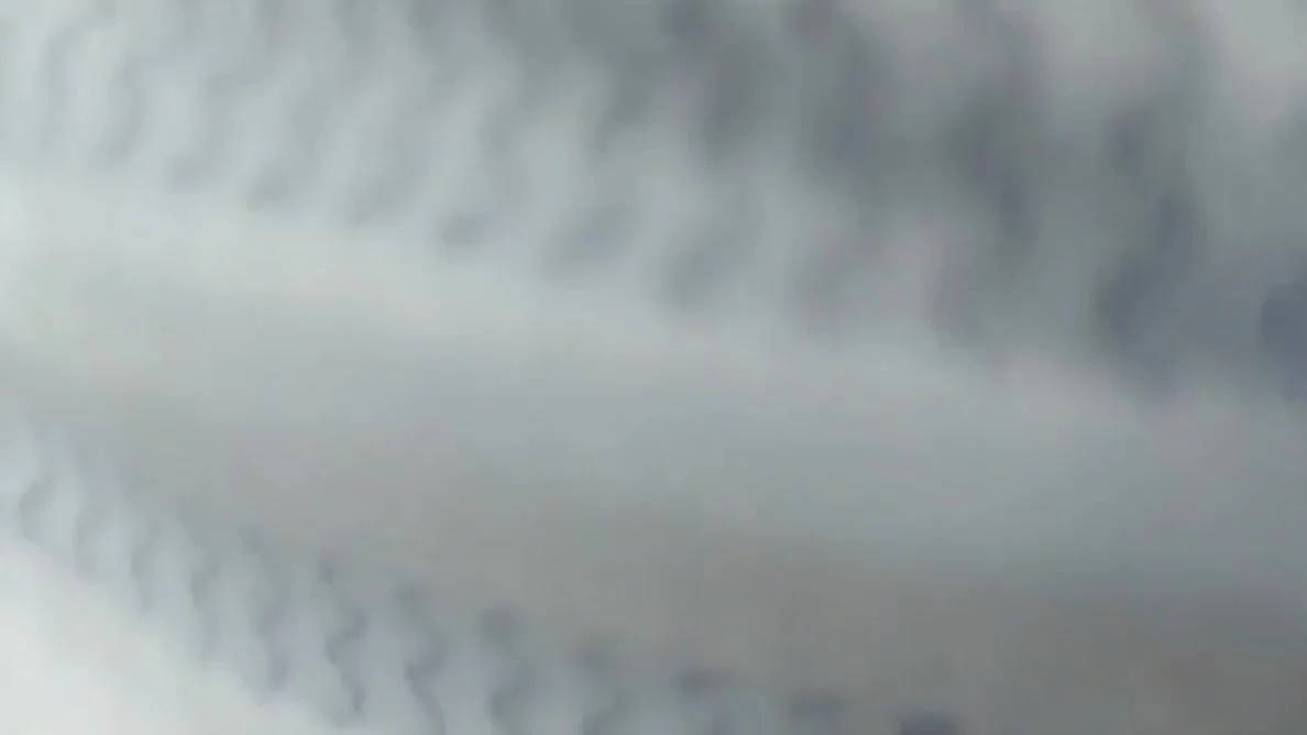 Desi Hot After The School Desi Girl Jungle Sex