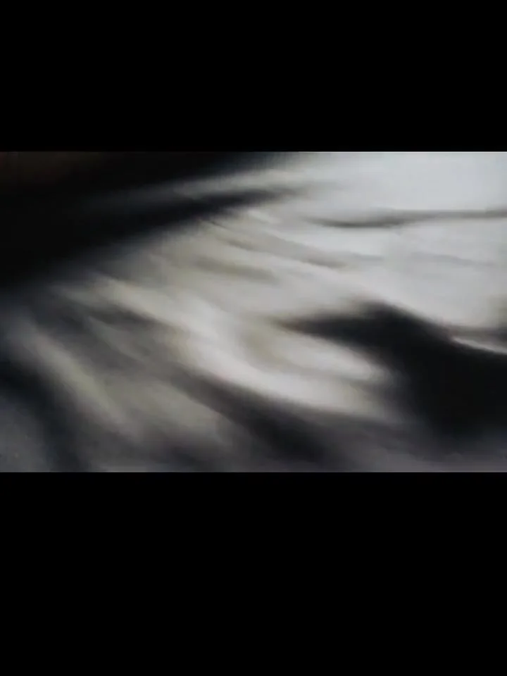 Dzaddy Compilation: Riding, Squirting, Creampie, Blowjob