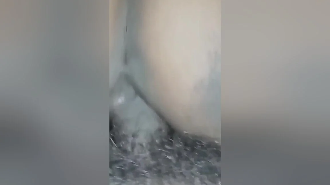 Dogi Stil Mi Hamara Saman Khrab Krdiyaa