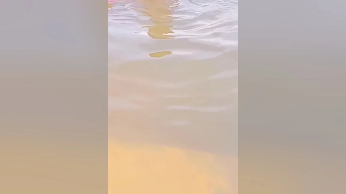 Srilankan Village Girl Bathing Natural Tank.srilankan Outside Sex.asian Sexy Girl Bath Time.sexy Video Srilankan