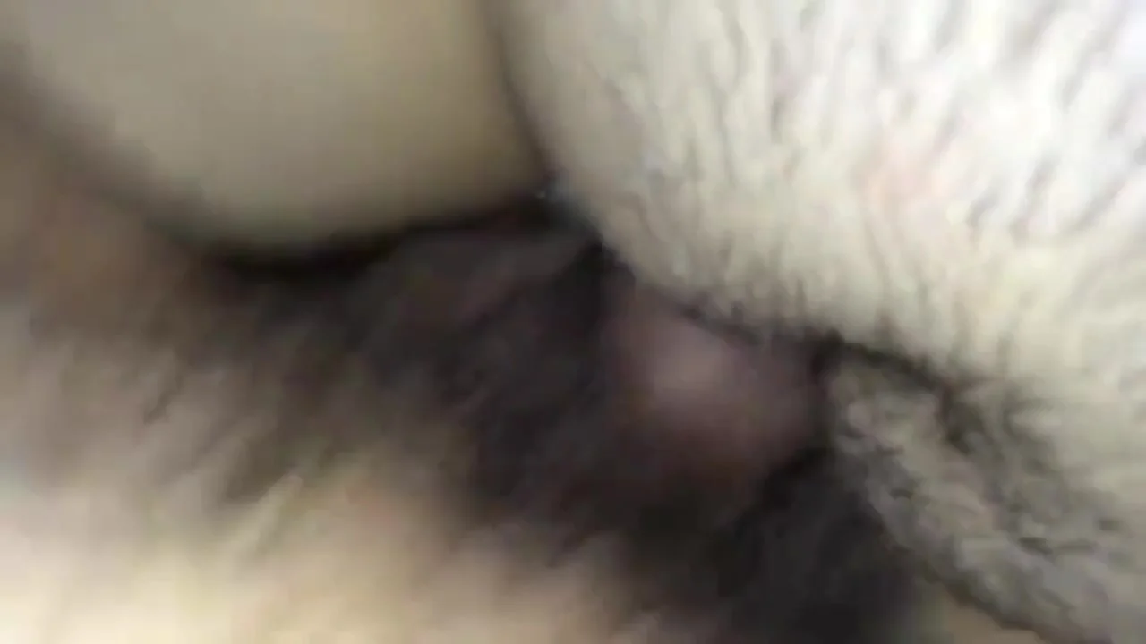 Indian Assam Girls Sex With X Boyfriend