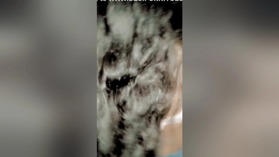 Bengali Boudi In Orpitas Boob Show